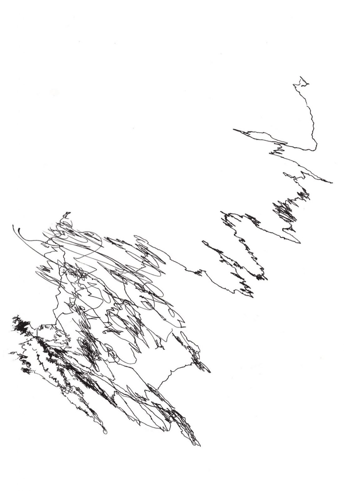 Isabella Nardon_Elettromotogrammi