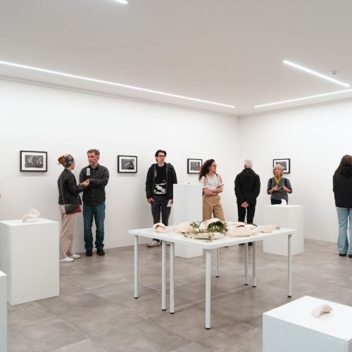 "Il corpo della mente. esercizi di cura ed empatia" di Samira Mosca. Foto Anna Cerrato