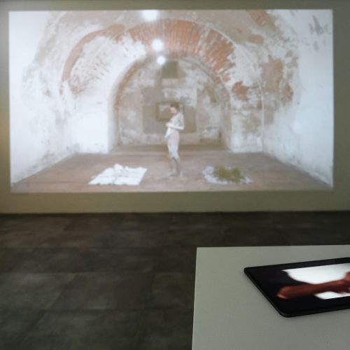 "Il corpo della mente. esercizi di cura ed empatia" di Samira Mosca. Foto Anna Cerrato