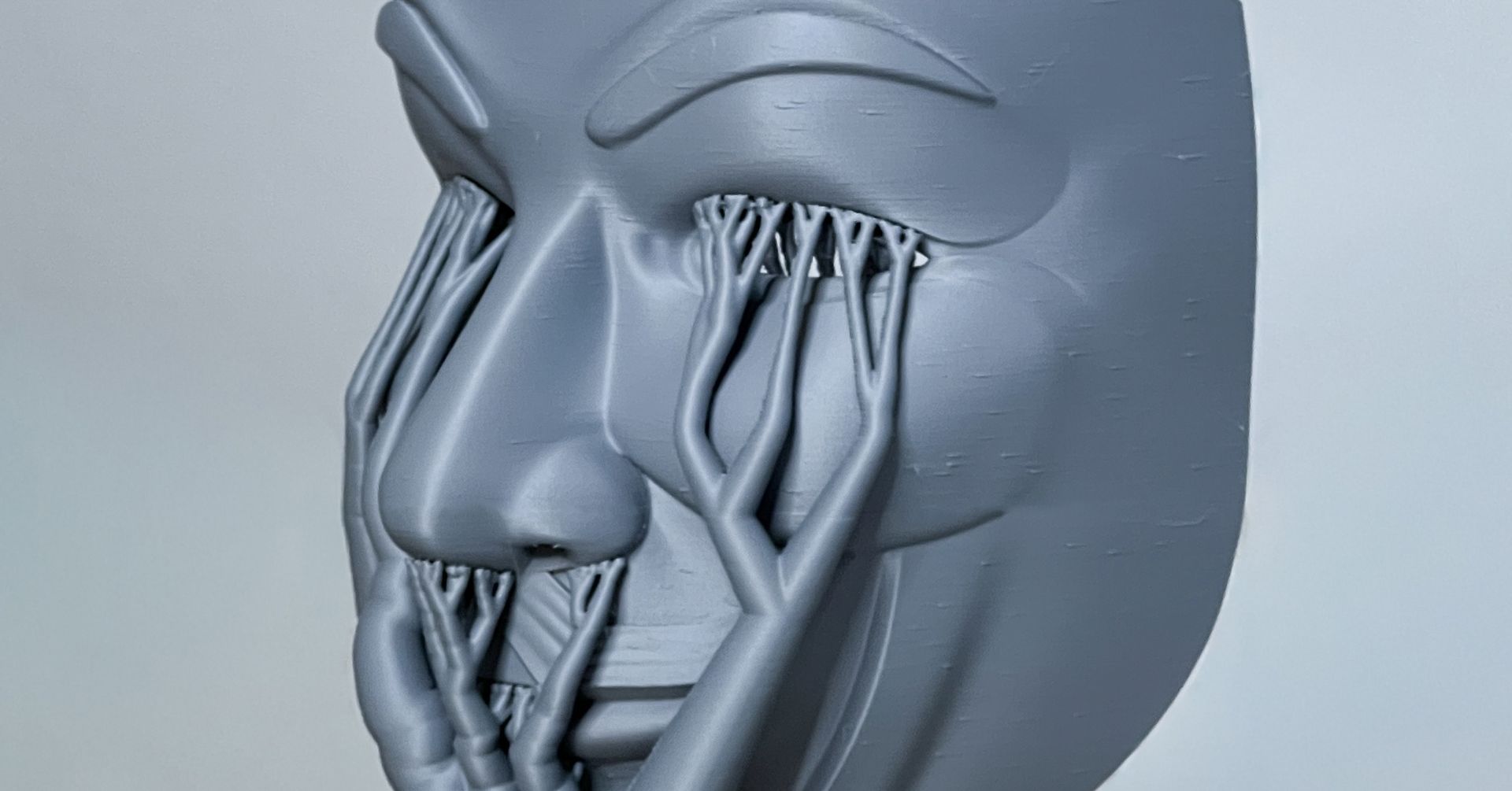 Masks una mostra di Private Marc Rider